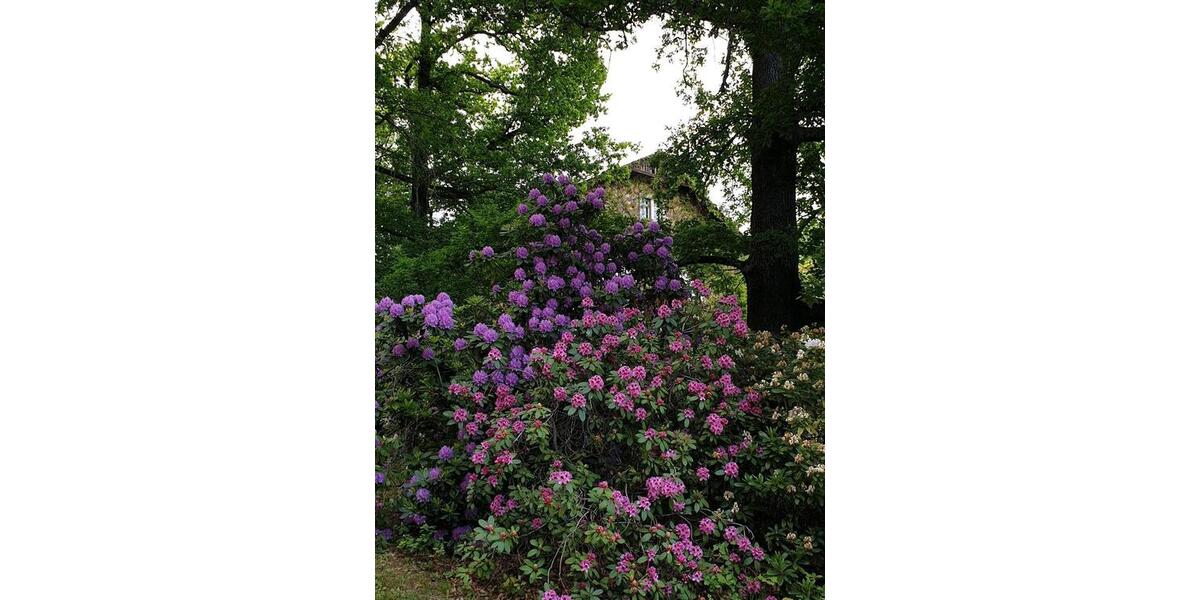 Etagenwohnung Waldheim - 5 Zimmer, 130 m&sup2;, 950&euro; | Angebot:24878692