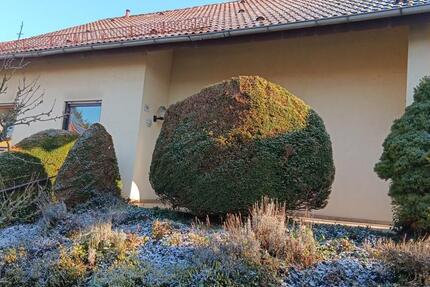 Haus Sinsheim - 567.000&euro; | Angebot:25087525