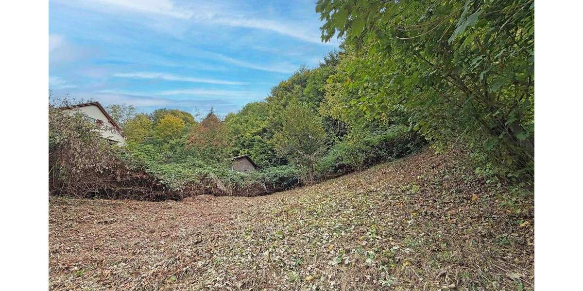 Grundstück Schönau - 98.000&euro; | Angebot:25733918