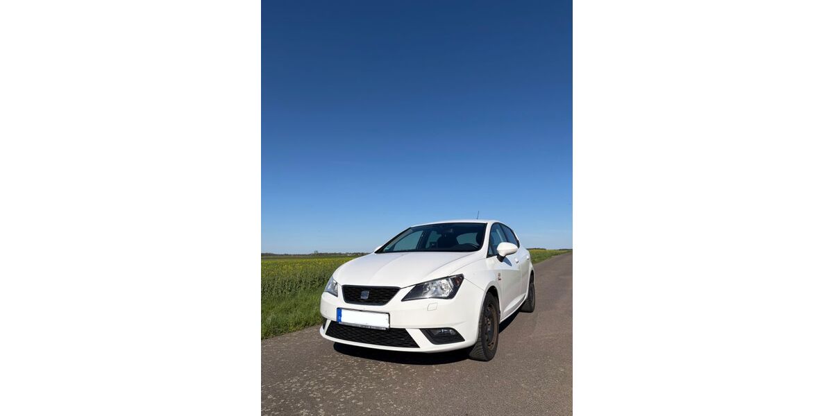 Seat Ibiza 120.000 km 5.500 &euro; Rötha 04571