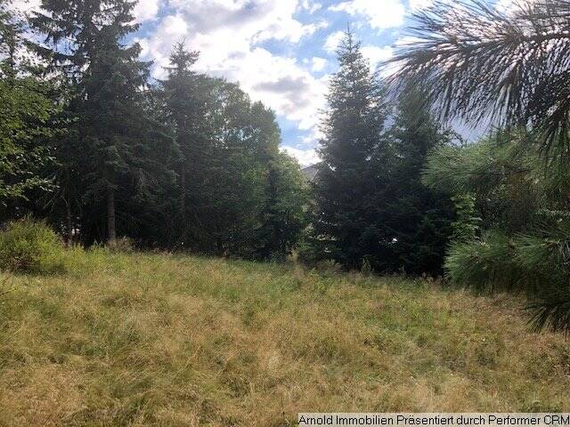 Grundstück Altenberg Zinnwald-Georgenfeld - 18.000&euro; | Angebot:25700102
