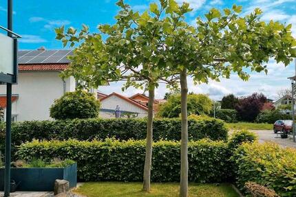 Wohnung Tüßling - 4 Zimmer, 117 m&sup2;, 449.000&euro; | Angebot:27134950
