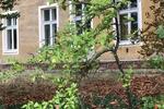 Vermiete meine Wohnung vom 10.7.-2.8.25,