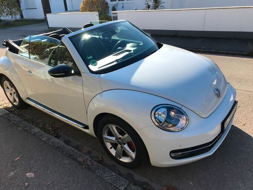 Beetle