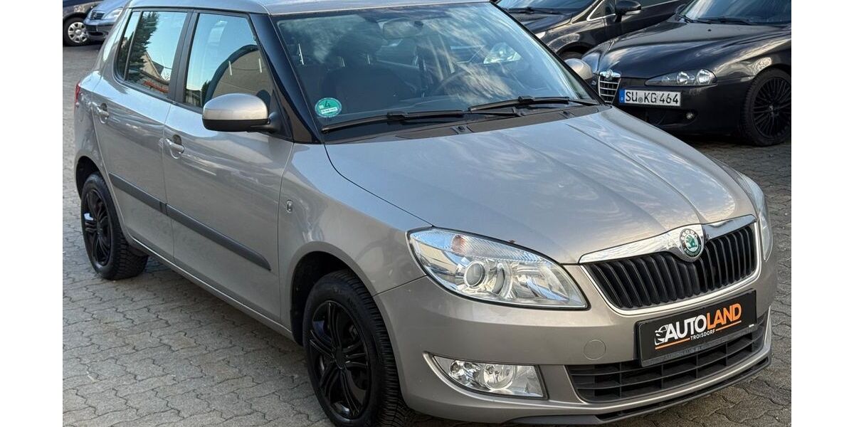 Skoda Fabia 172.000 km 3.999 &euro; Troisdorf 53842