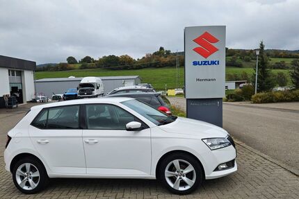 Skoda Fabia 140.600 km 10.350 € Seitingen-Oberflacht 78606