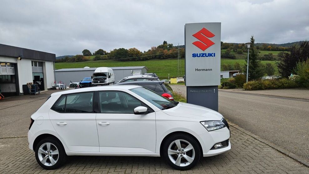 Skoda Fabia 140.600 km 10.350 € Seitingen-Oberflacht 78606