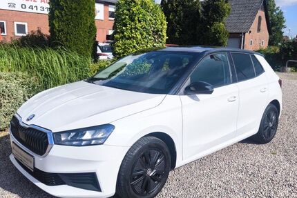Skoda Fabia 32.000 km 16.480 &euro; Bardowick / Lüneburg 21357