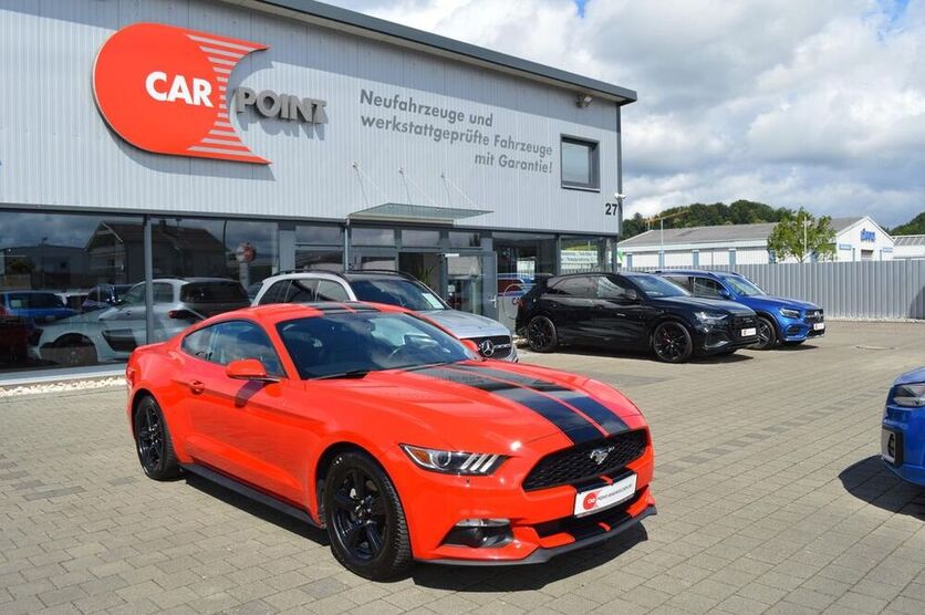 Mustang