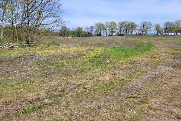 Grundstück Kirchlinteln Bendingbostel - 920.000&euro; | Angebot:25733737