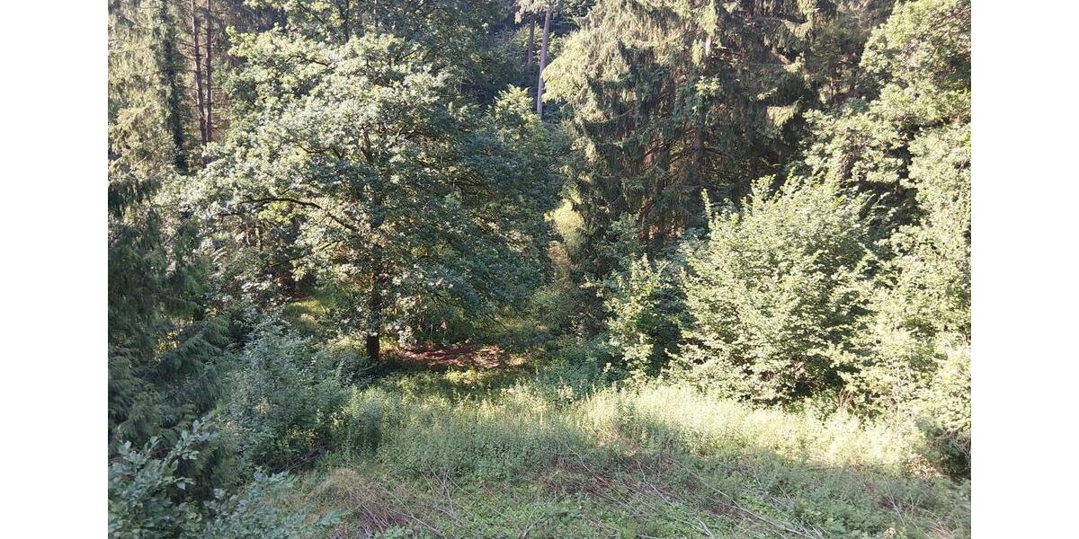 Einfamilienhaus Trierweiler - 2 Zimmer, 36 m&sup2;, 120.000&euro; | Angebot:26957961