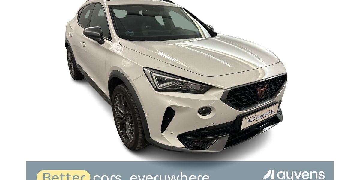 Cupra Formentor 69.452 km 21.980 &euro; Dorfmark 29683
