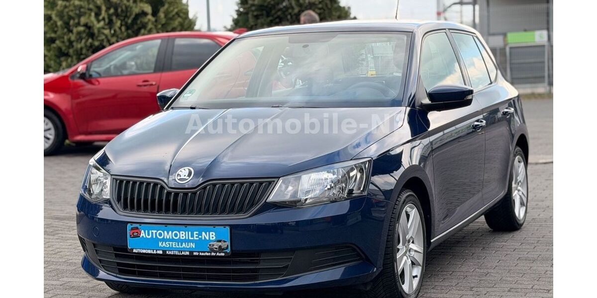 Skoda Fabia 76.000 km 8.600 &euro; Kastellaun 56288