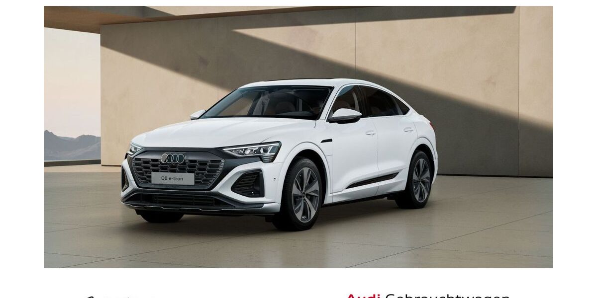 Audi Q8 24.390 km 46.970 &euro; Wetzlar 35576