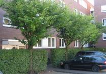 4 Zimmer EG Hochparterre Wohnung