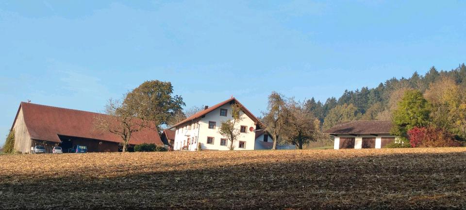 Bauernhaus, Landhaus Schwarzach - 8 Zimmer, 250 m&sup2;, 2.500&euro; | Angebot:26343567