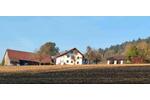 Bauernhaus, Landhaus Schwarzach - 8 Zimmer, 250 m&sup2;, 2.500&euro; | Angebot:26343567