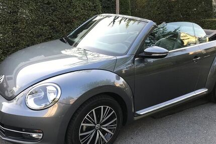 VW Beetle