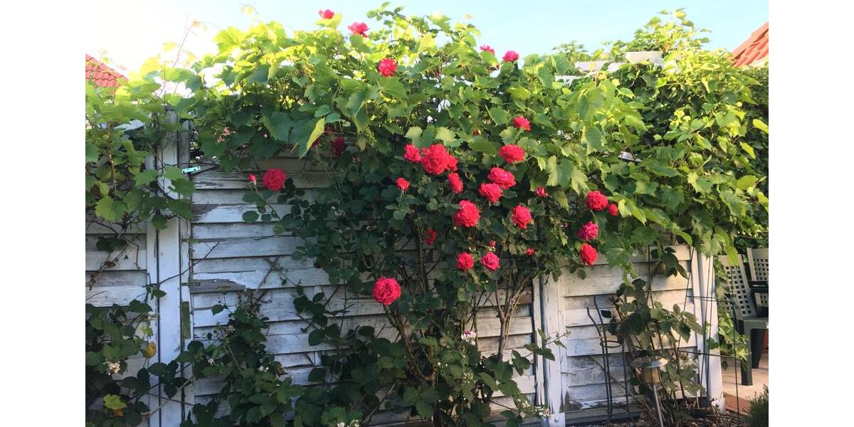 Einfamilienhaus Minden Kuhlenkamp - 5 Zimmer, 170 m&sup2;, 1.700&euro; | Angebot:25967737