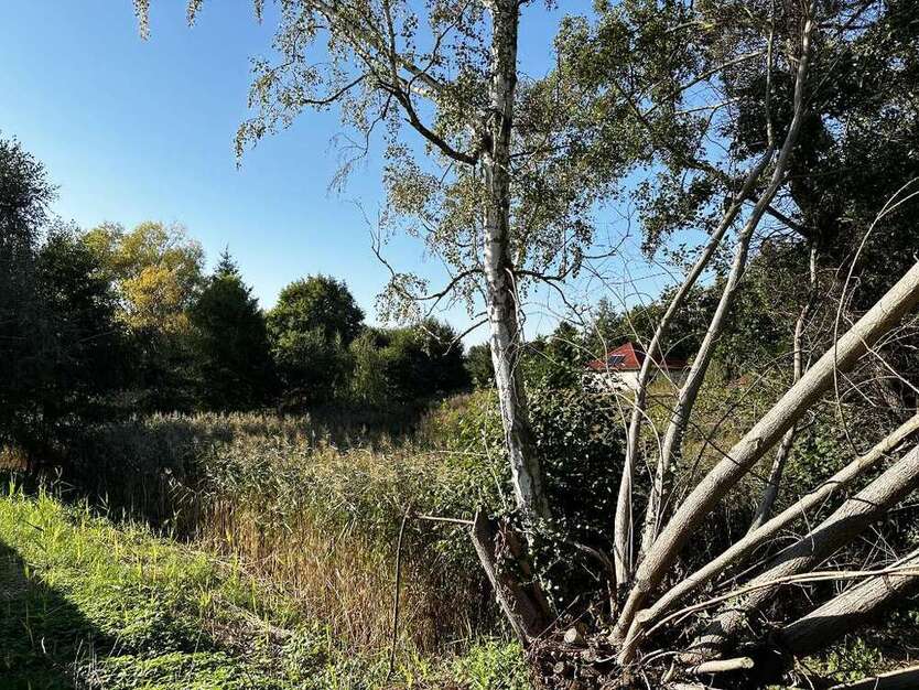 Grundstück zu verkaufen in Gardelegen 60.000 € 3320 m²