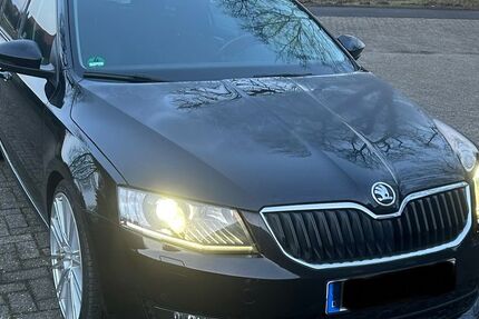 Skoda Octavia 210.310 km 8.000 &euro; Haselünne 49740