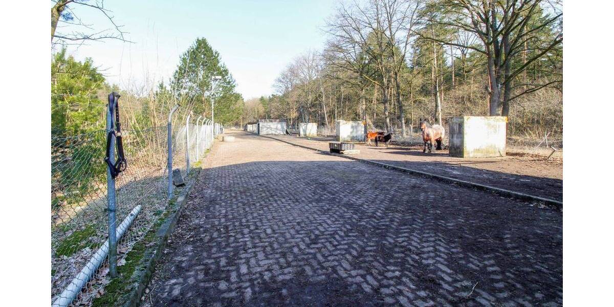 Grundstück Walsrode Düshorn - 98.000&euro; | Angebot:26853037