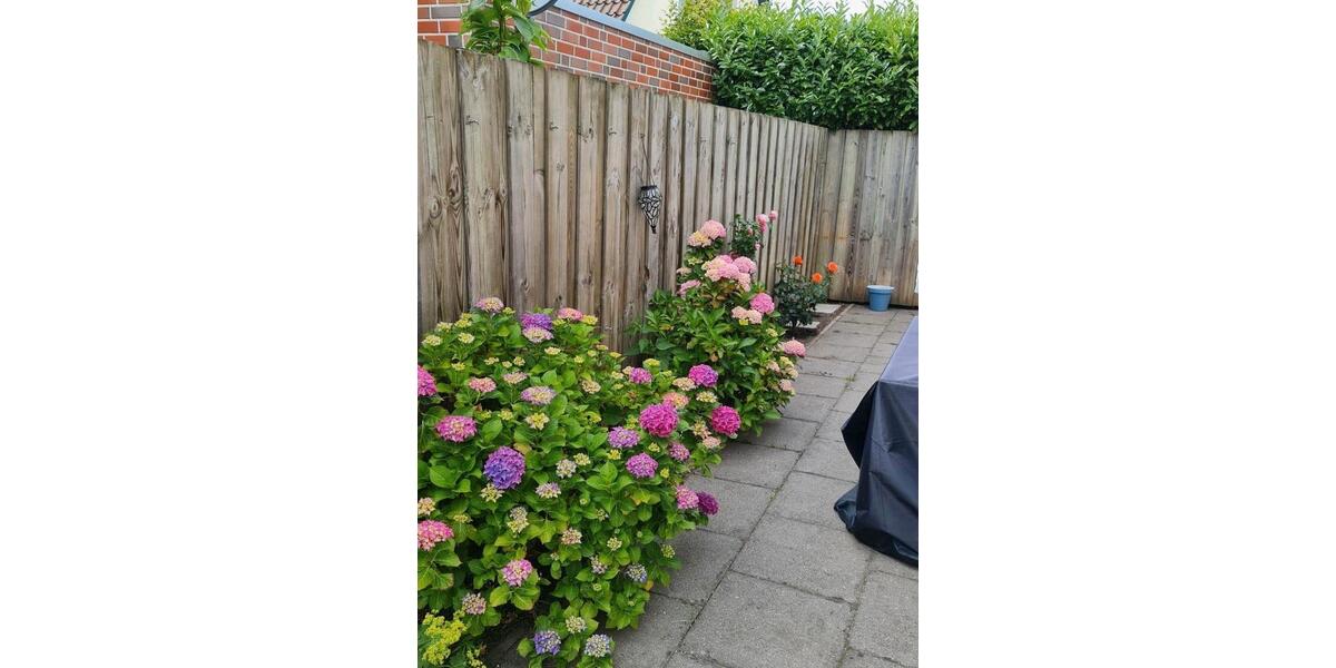 Freistehendes Einfamilienhaus zu Miete mit EBK 5 zimmer