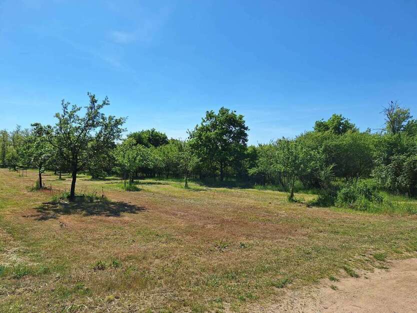 Grundstück zu verkaufen in Wiesbaden 179.000 € 26800 m²
