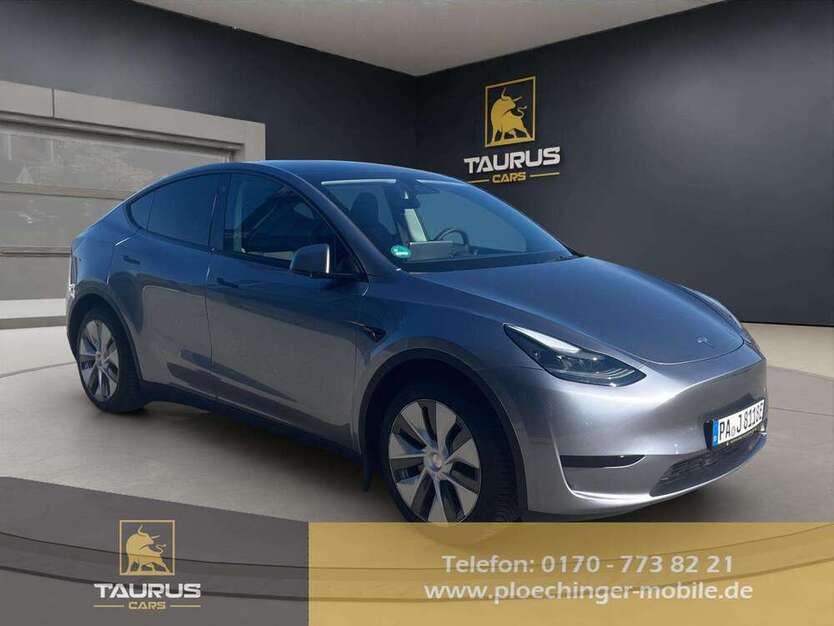 Model Y