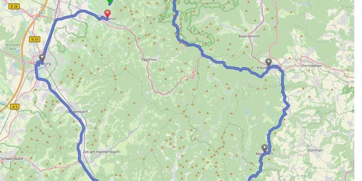 Etagenwohnung Oberkirch Tiergarten - 2 Zimmer, 48 m&sup2;, 410&euro; | Angebot:25531217