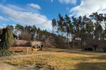Mehrfamilienhaus, Wohnhaus Cottbus Brunschwig - 360.000&euro; | Angebot:27104376