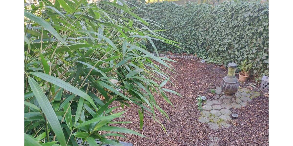 Etagenwohnung Hamburg Barmbek-Nord - 2 Zimmer, 46 m&sup2;, 255.000&euro; | Angebot:26695479
