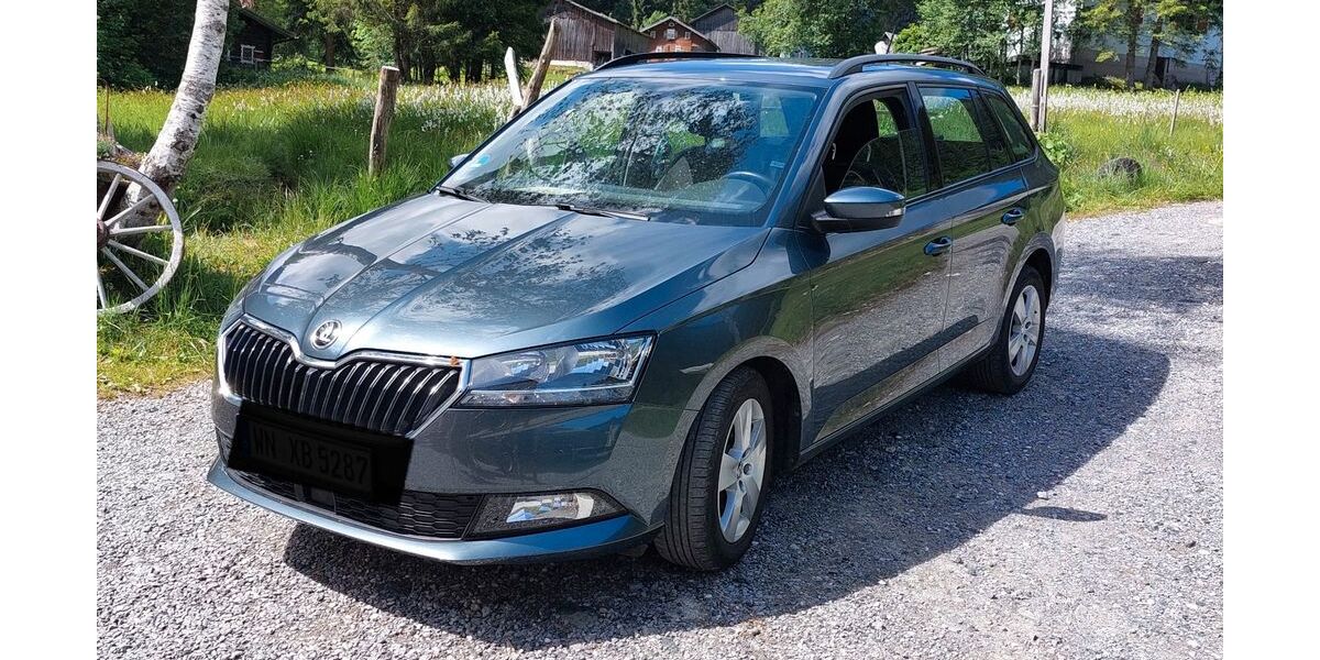 Skoda Fabia 135.000 km 10.500 &euro; Winterlingen 72474