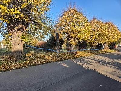 ERSCHLOSSEN & BEREIT: IHR BAUPROJEKT IN RUHIGER LAGE - Grundstück Zierow | Angebot:26308990