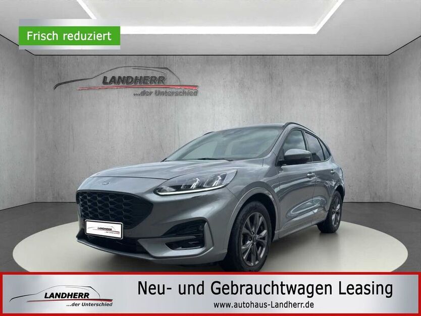 Kuga