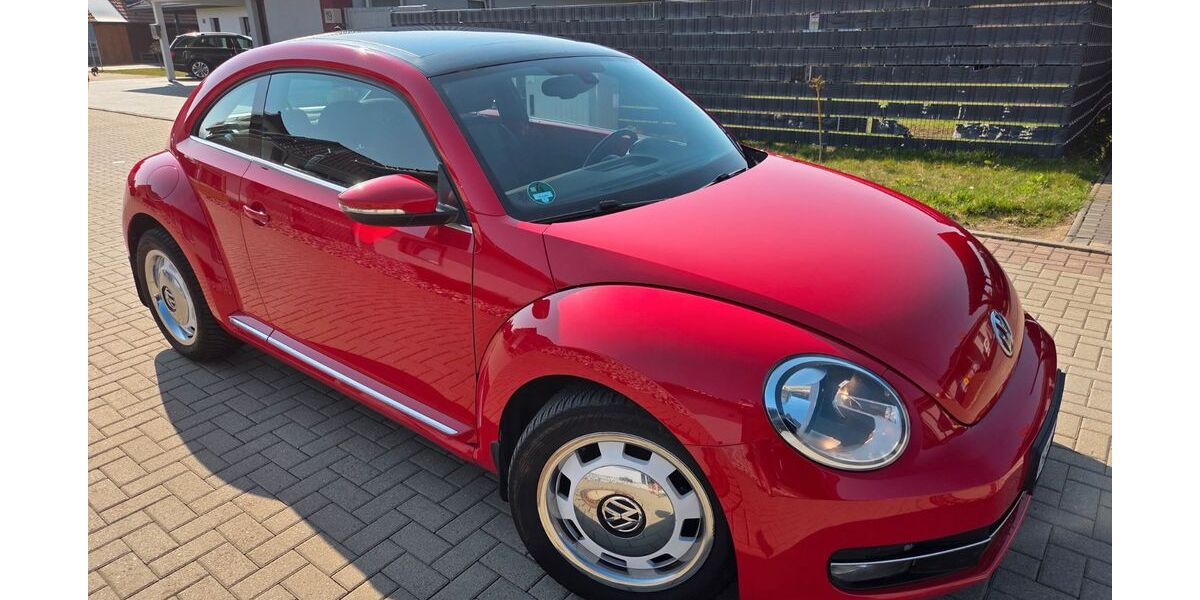 VW Beetle 128.352 km 9.299 &euro; Halberstadt 38820