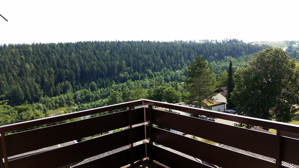 Etagenwohnung Altensteig - 1 Zimmer, 43 m&sup2;, 143.500&euro; | Angebot:25512776