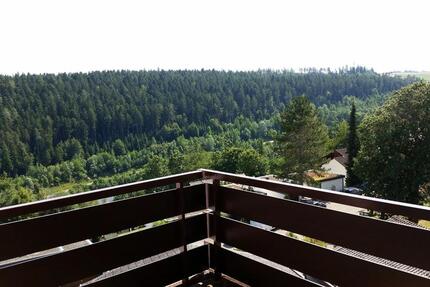 Wohnung Altensteig - 1 Zimmer, 43 m&sup2;, 143.500&euro; | Angebot:25512776