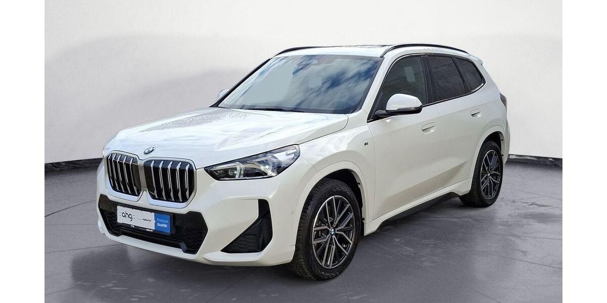 BMW X1 6.176 km 43.660 &euro; Achern 77855