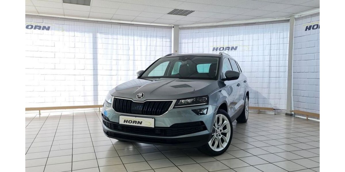 Skoda Karoq 135.497 km 23.990 &euro; Halberstadt 38820