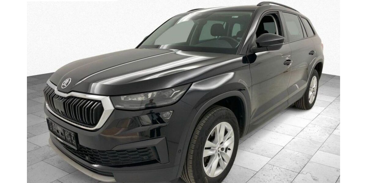 Skoda Kodiaq 164.469 km 23.950 &euro; Steinbach-Hallenberg OT Herges-Hallenberg 98587