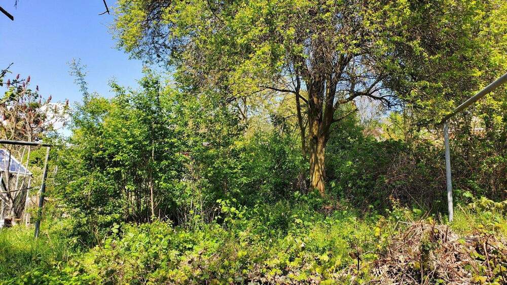 Mehrfamilienhaus, Wohnhaus Greiz - 1 Zimmer, 273 m&sup2;, 39.000&euro; | Angebot:24849373