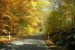Ferienimmobilie Presseck Braunersreuth - 50&euro; | Angebot:13622116