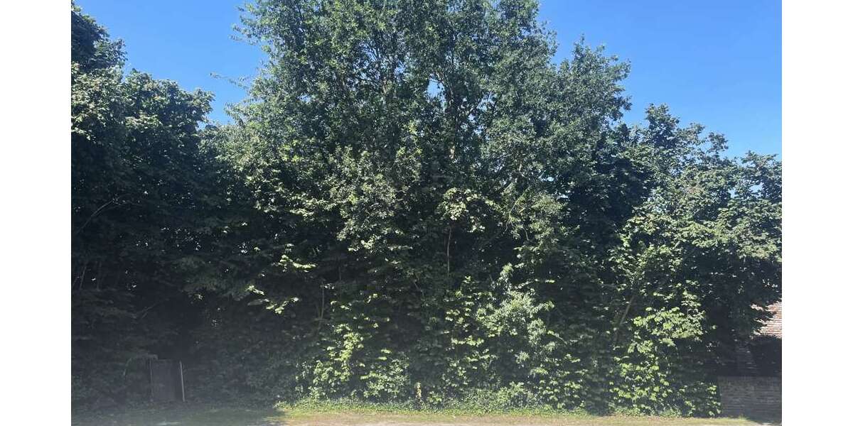 Grundstück zu verkaufen in Voerde 120.000 € 578 m² zimmer