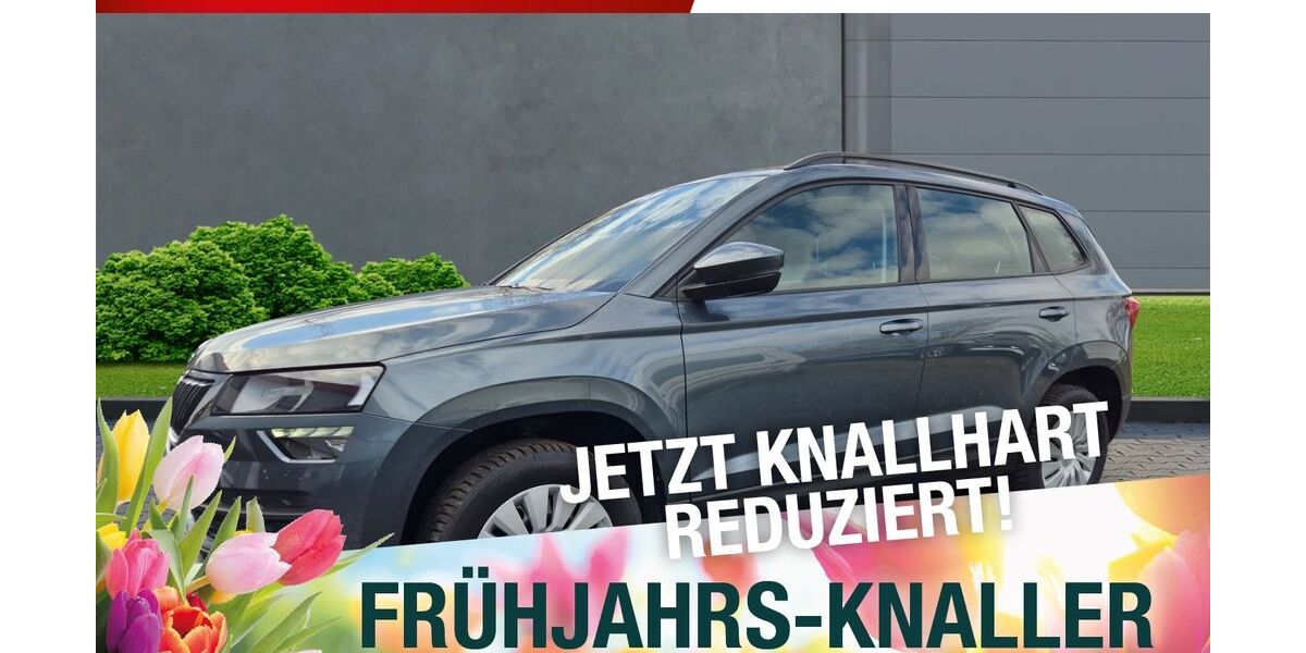 Skoda Karoq 46.000 km 22.470 &euro; Marktredwitz 95615