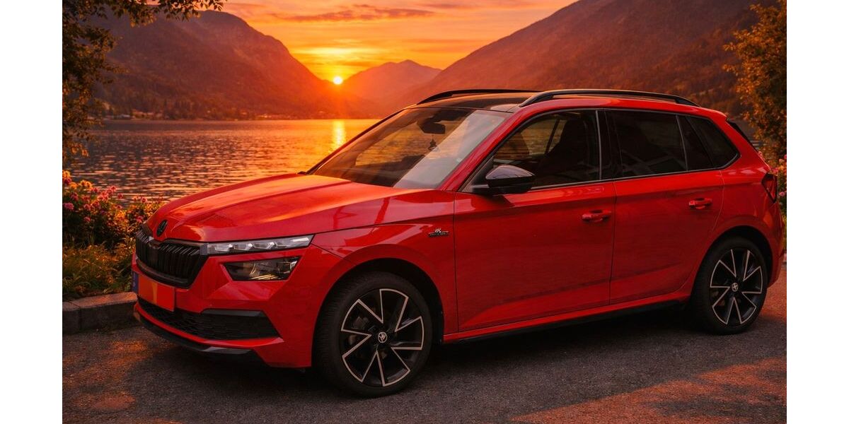 Skoda Kamiq 30.500 km 18.680 &euro; Holzwickede 59439