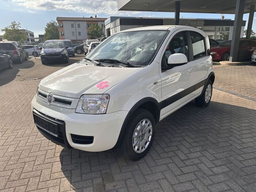 Panda