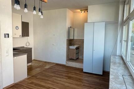 1 Zimmer mit Küche und Dusche