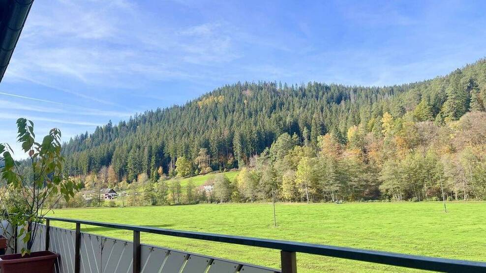 Stilvolle, geräumige und sanierte 4,5-Zimmer-Wohnung mit Balkon und Aussicht auf den Schwarzwald