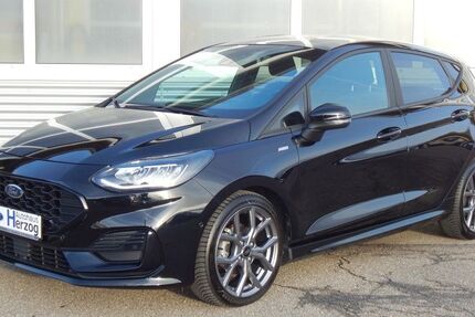 Ford Fiesta 18.800 km 17.990 € Schramberg 78713